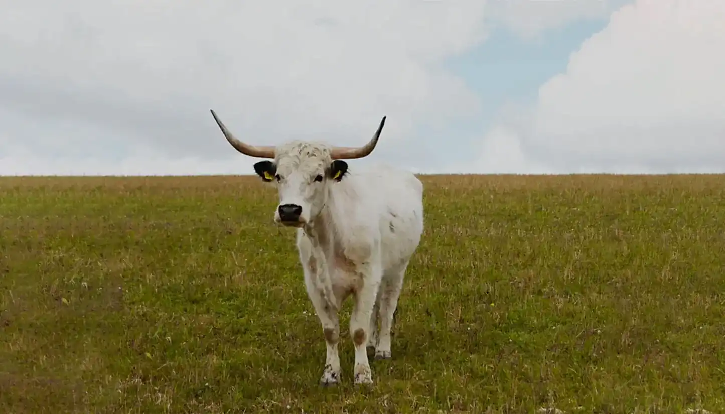 Sustainability & Farming