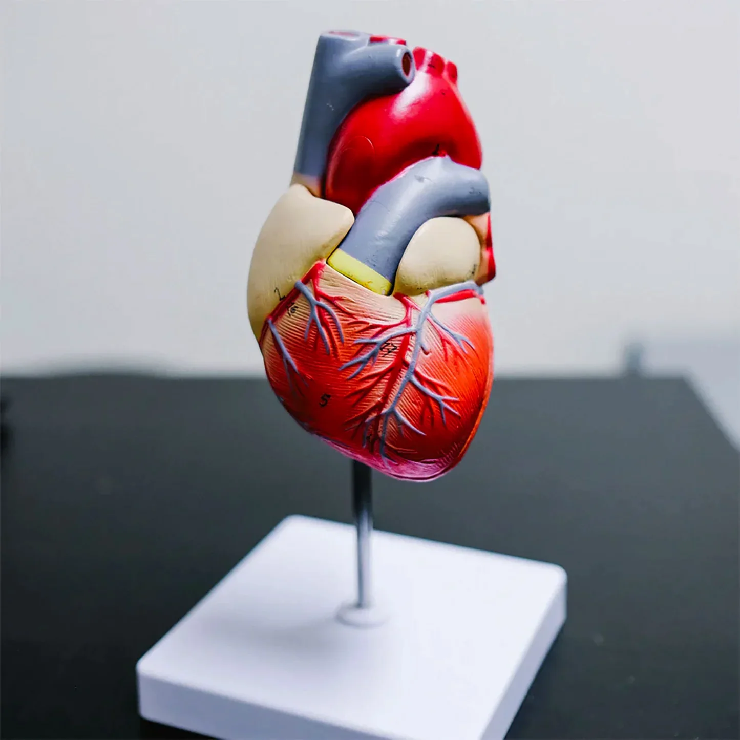 cardiovascular disease