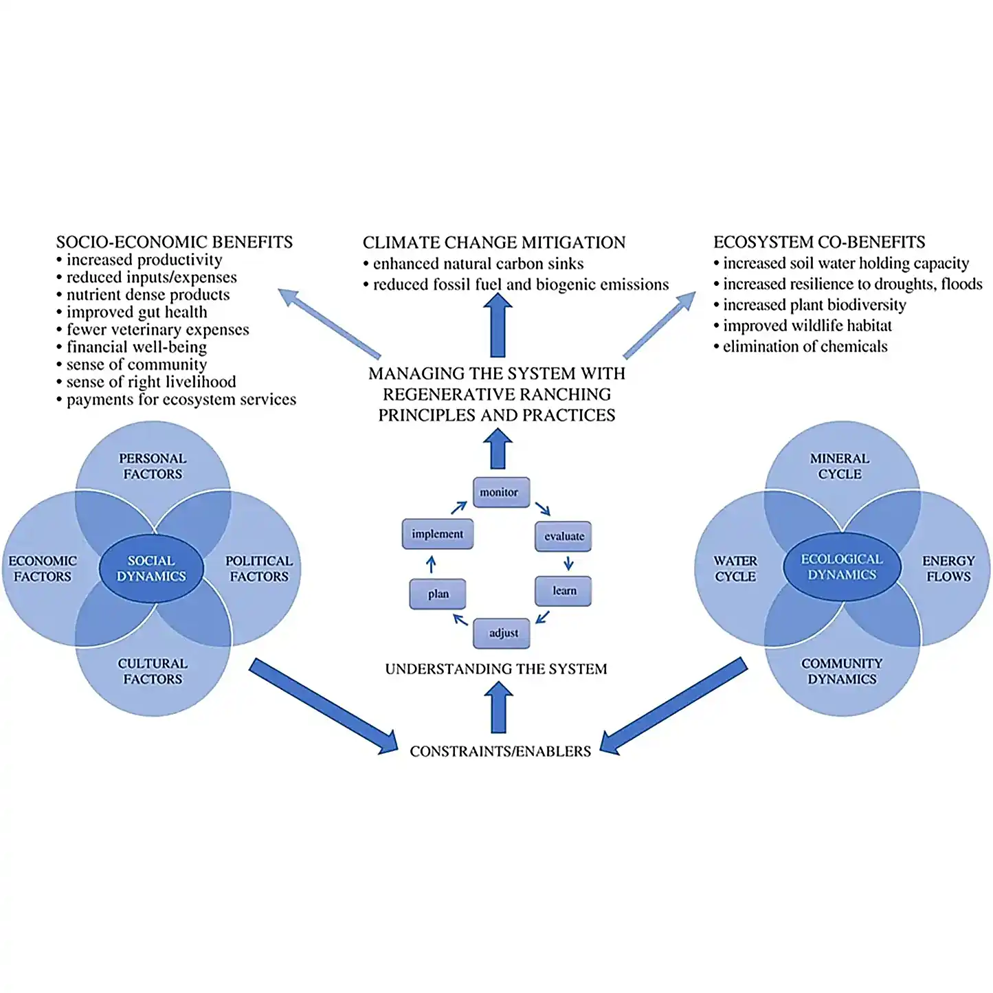 Climate change mitigation as a co-benefit of regenerative ranching