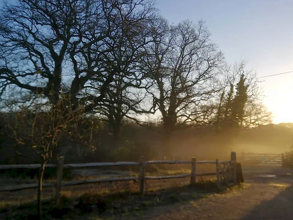 Misty dawn at Egypt House Farm