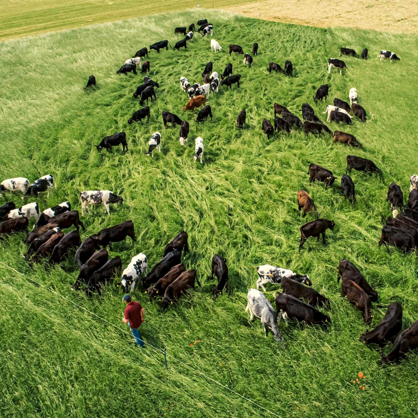 Grassroots Farming