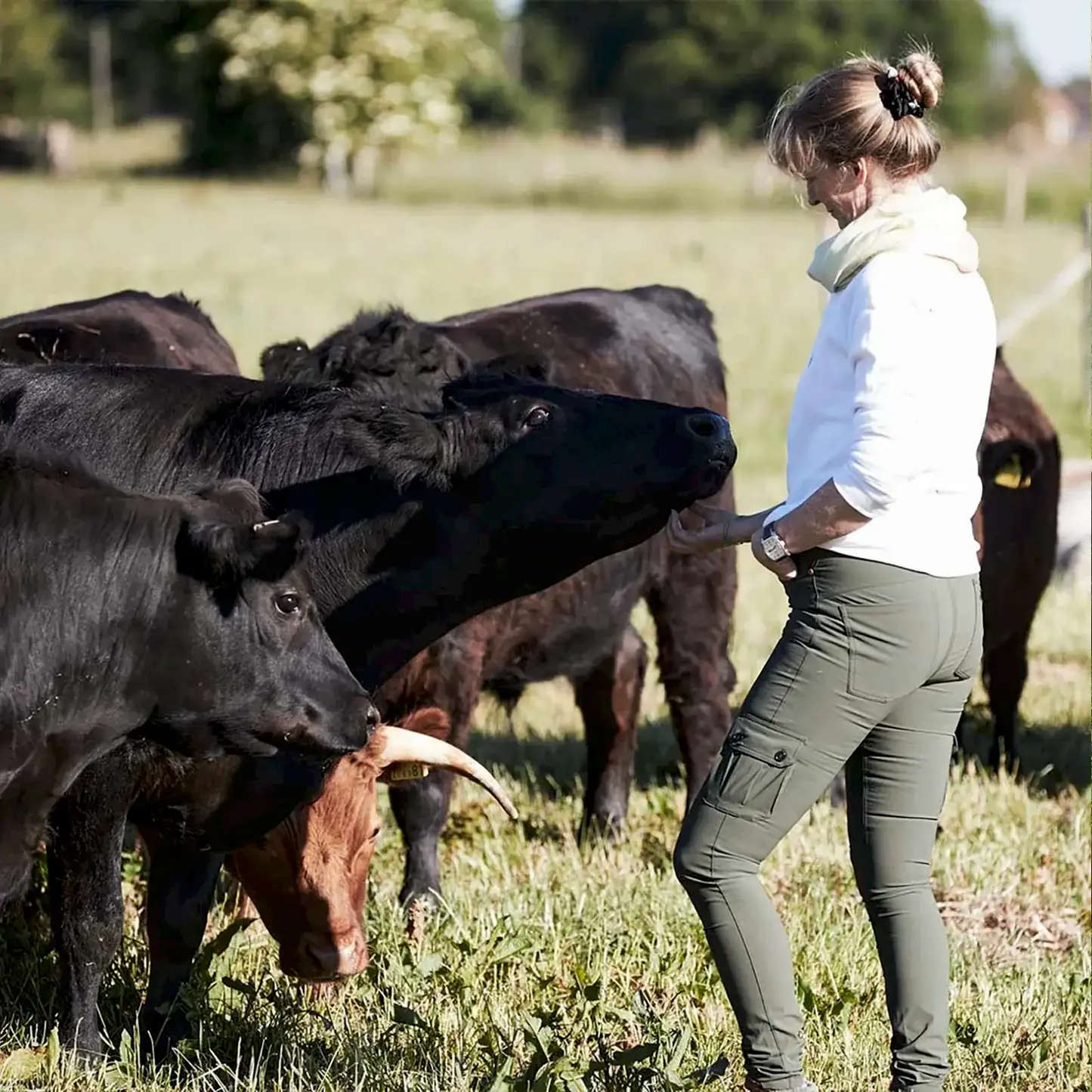 Jane's Farm